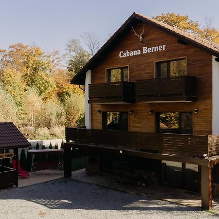 Cabana Berner Statiunea Mogosa Бая-Сприе Экстерьер фото