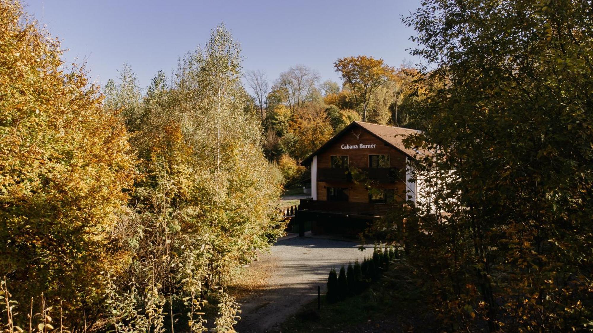 Cabana Berner Statiunea Mogosa Бая-Сприе Экстерьер фото