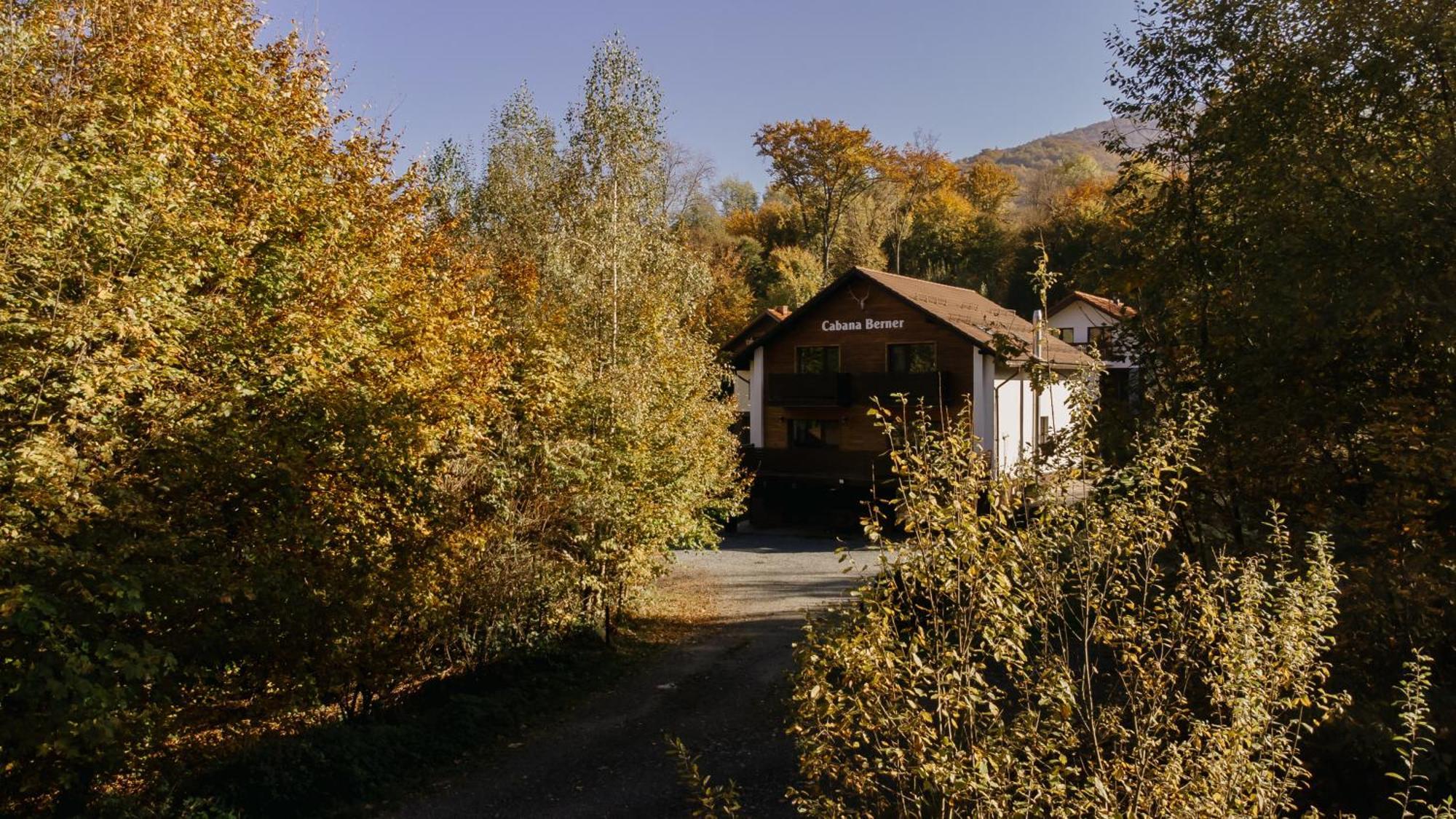 Cabana Berner Statiunea Mogosa Бая-Сприе Экстерьер фото